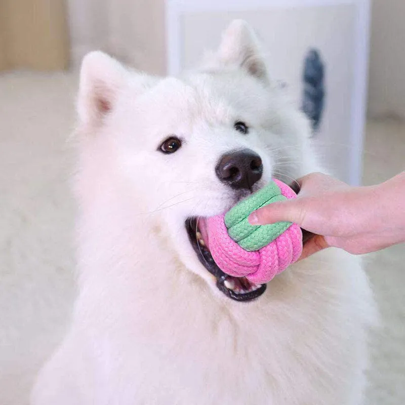 3pcs Pet Dog Chew Toys Perfect for Pups who need something to do, and makes a great training tool