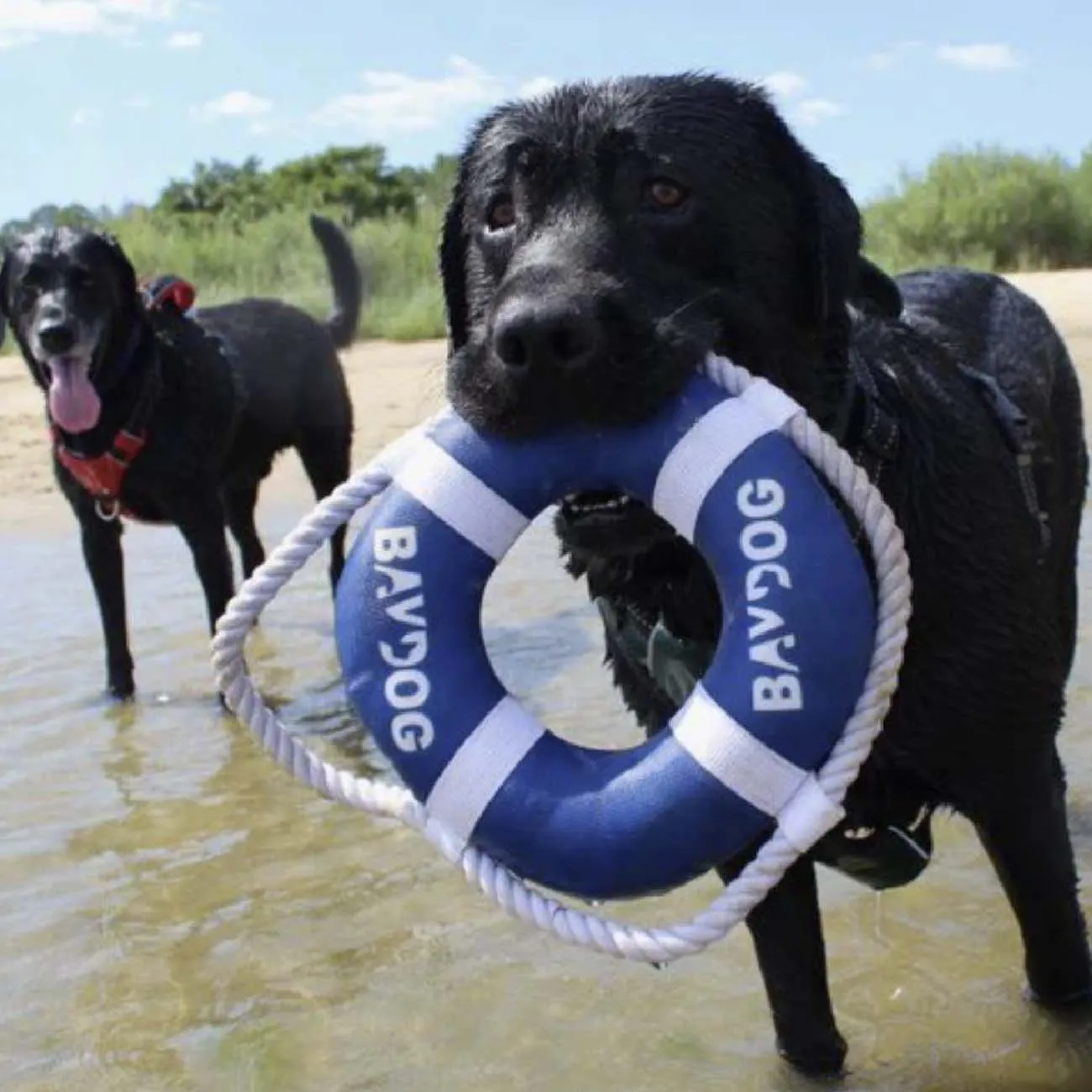 BAYDOG Fetch Ring