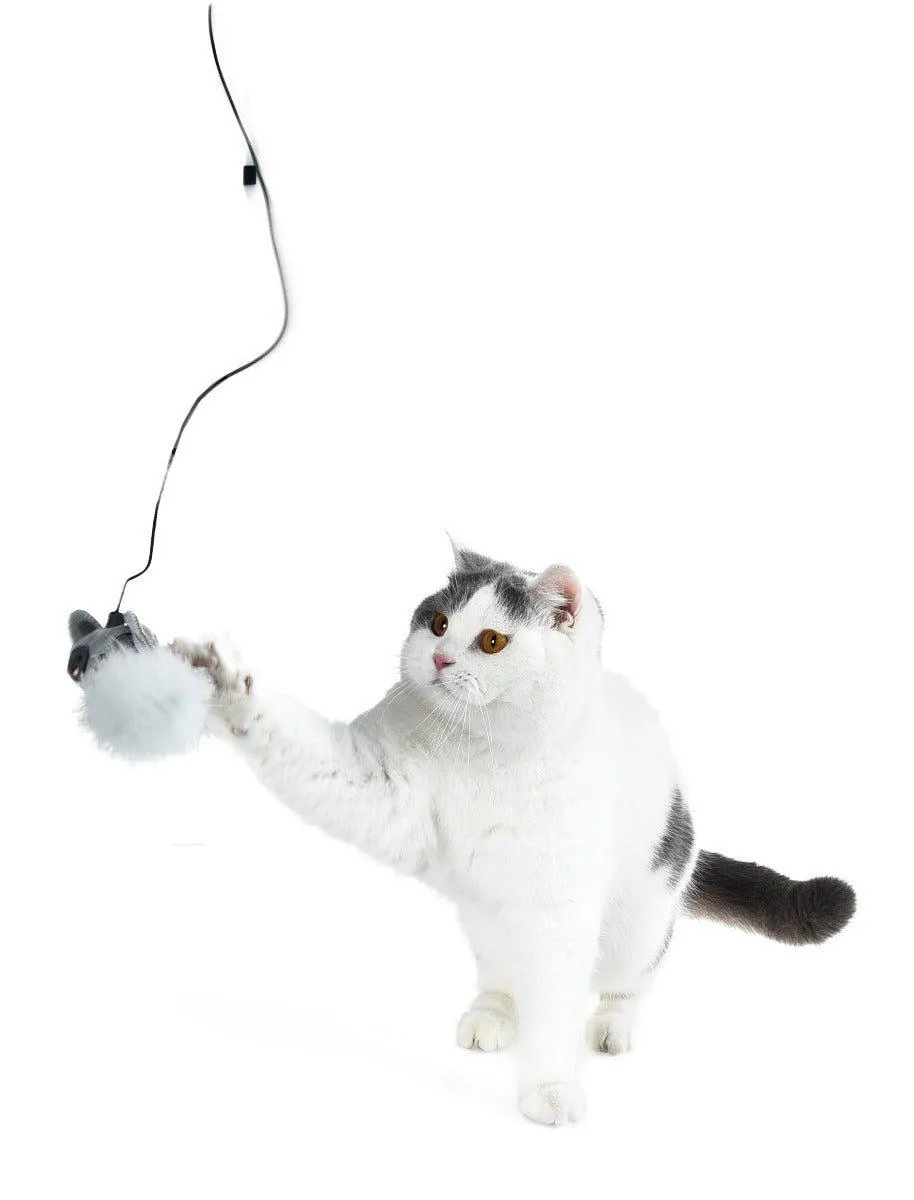 Cat Wand Teaser Toy - 3 Piece - Feather / Mouse / Cat Head