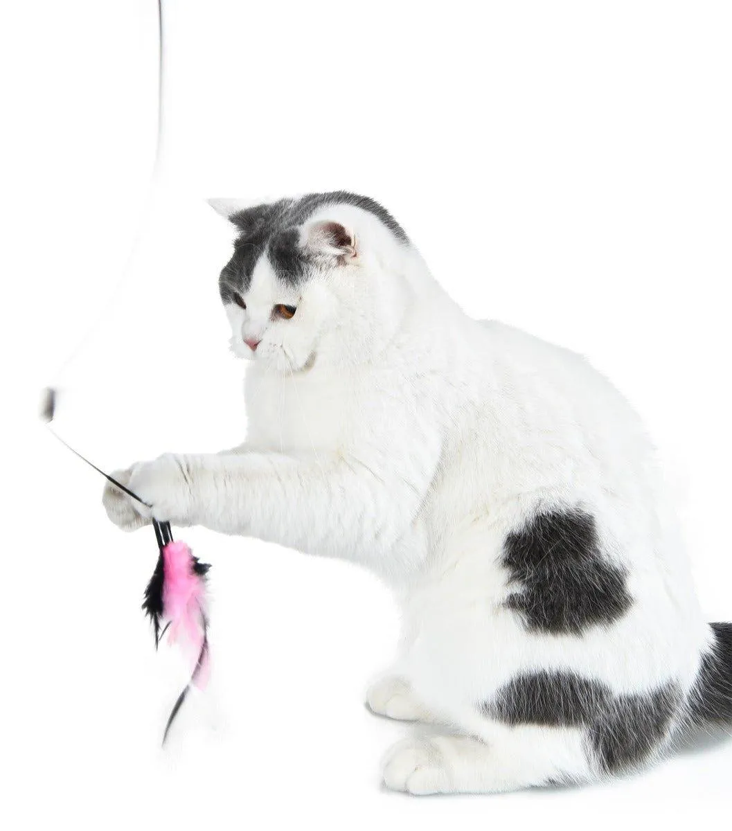 Cat Wand Teaser Toy - 3 Piece - Feather / Mouse / Cat Head