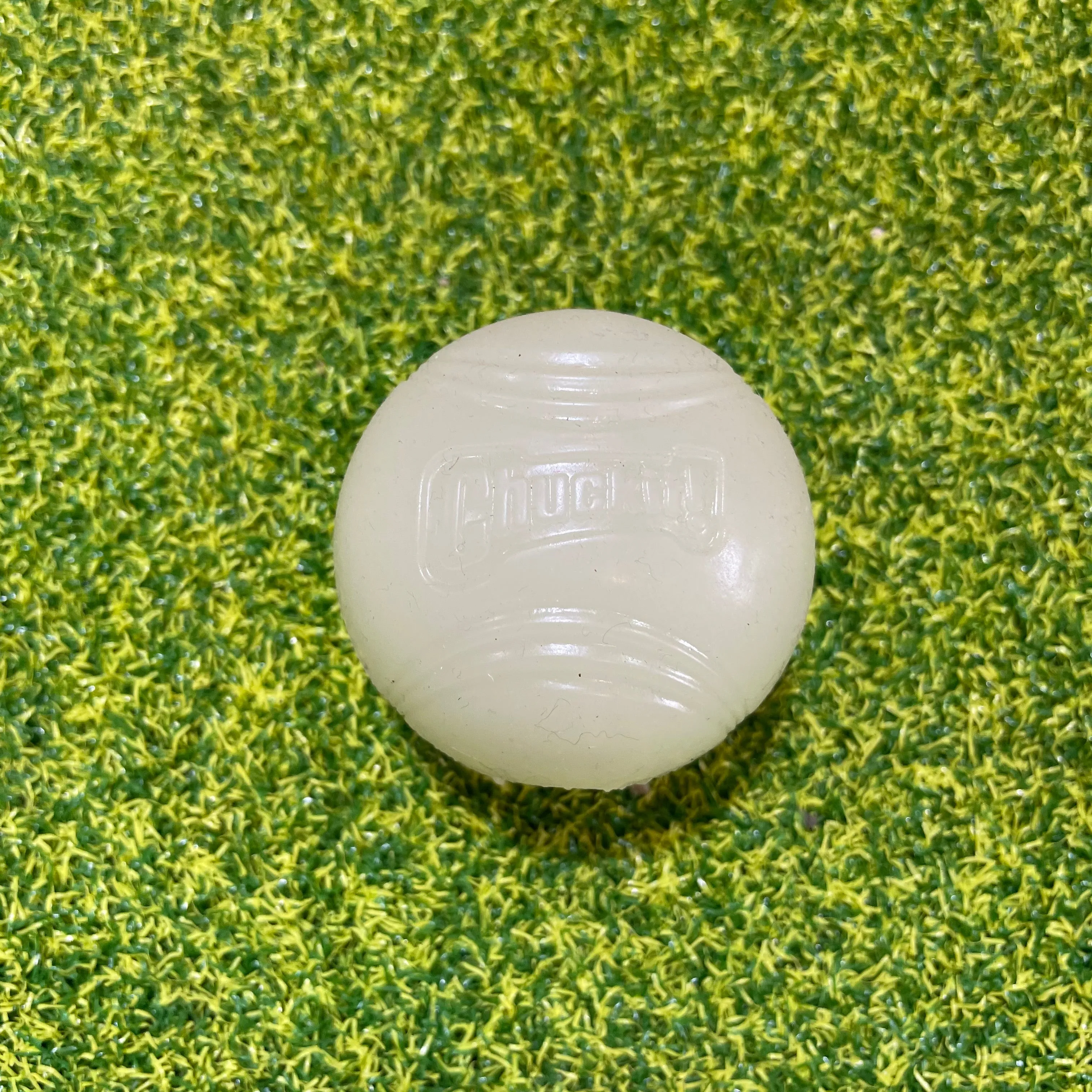 ChuckIt Max Glow in the Dark Ball