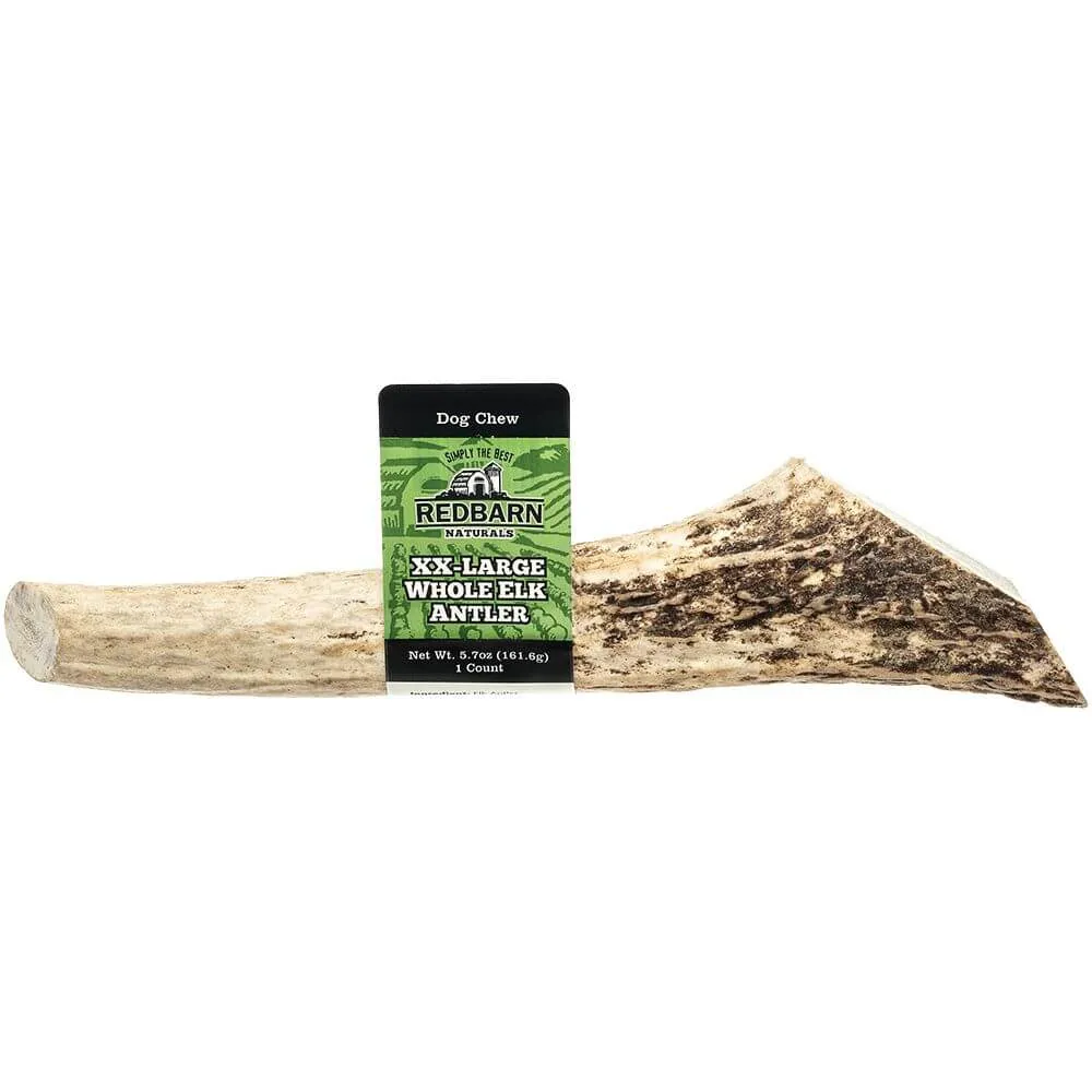 Elk Antler