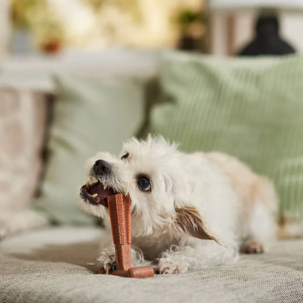 Ethical Bambone Plus Beef Toy For Dog