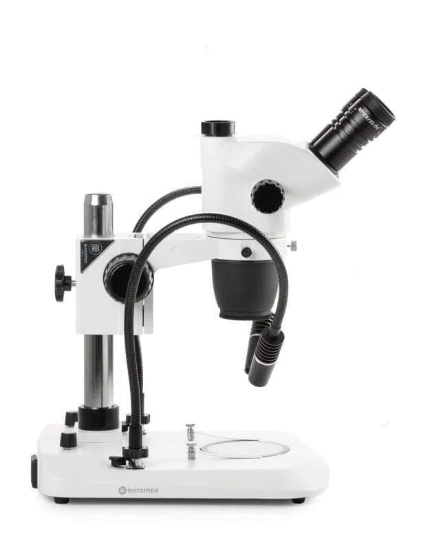 Euromex Trinocular High-Precision Stereo Zoom Microscope NexiusZoom EVO 6.5X-55X Magnification - Pillar Stand, 3W LED Gooseneck, Incident, & Transmitted Illumination