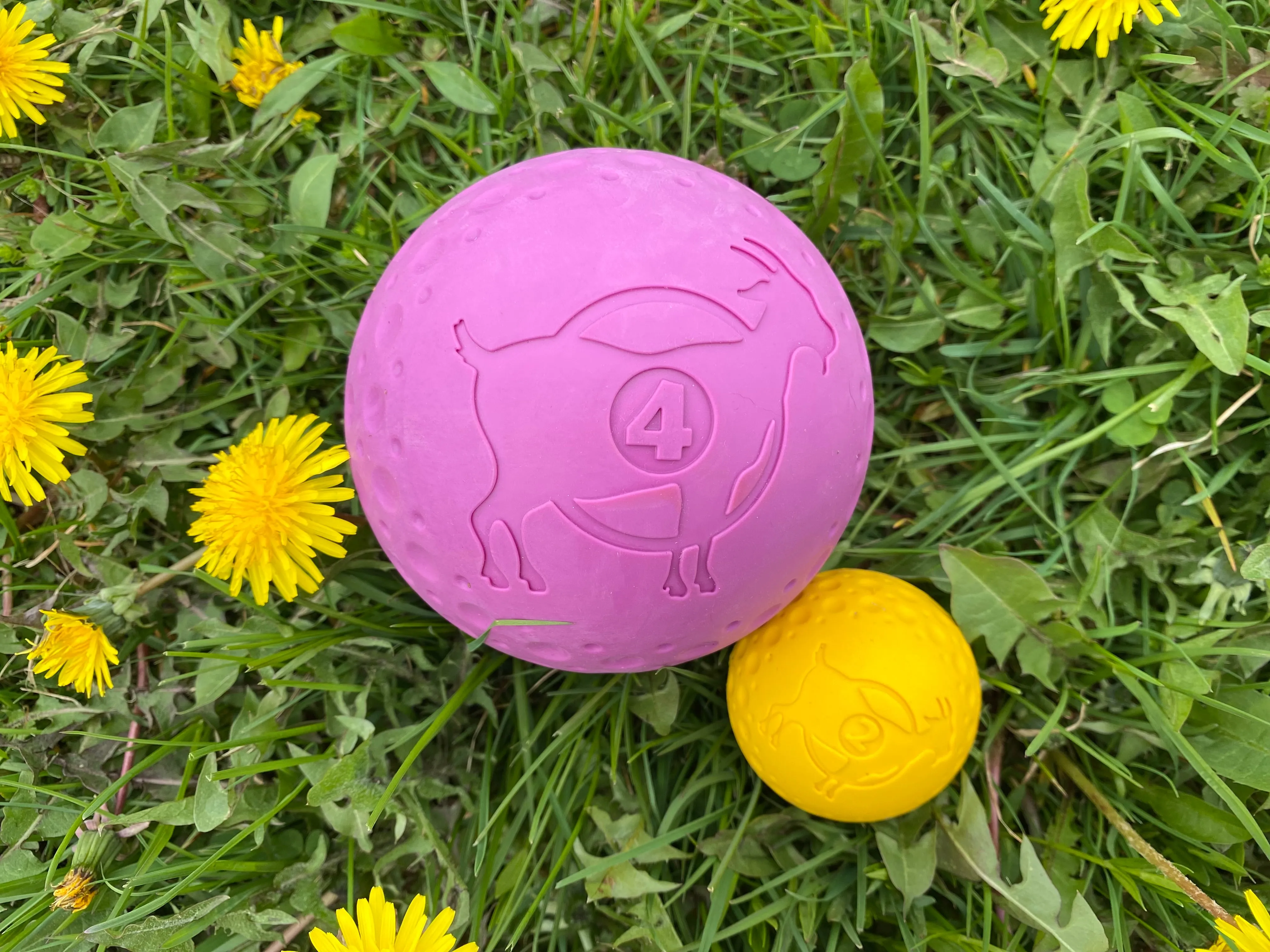 Fetch Dog Toy: Goat Sport Ball