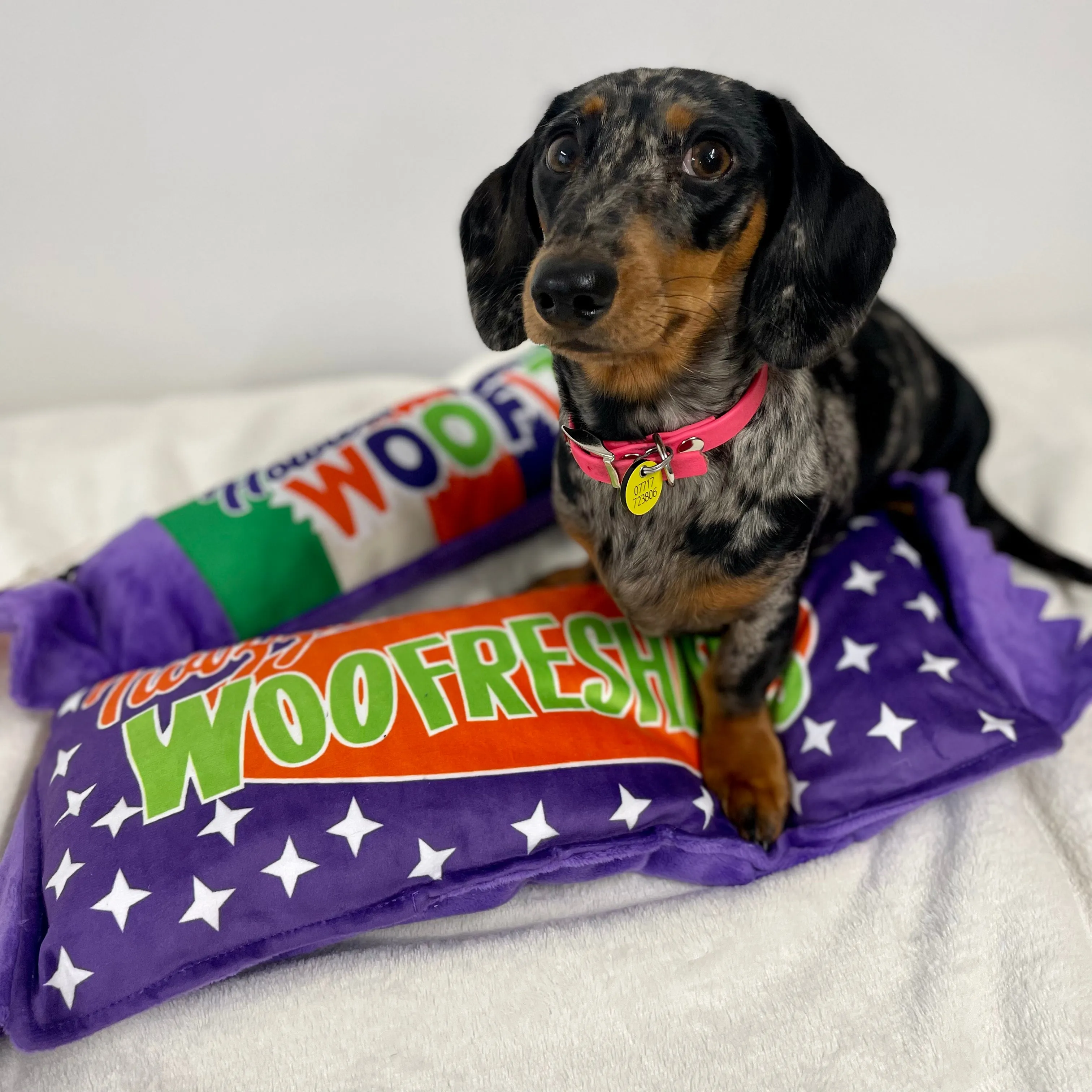 Giant Woofizzers and Woofreshers Sweet Dog Toys