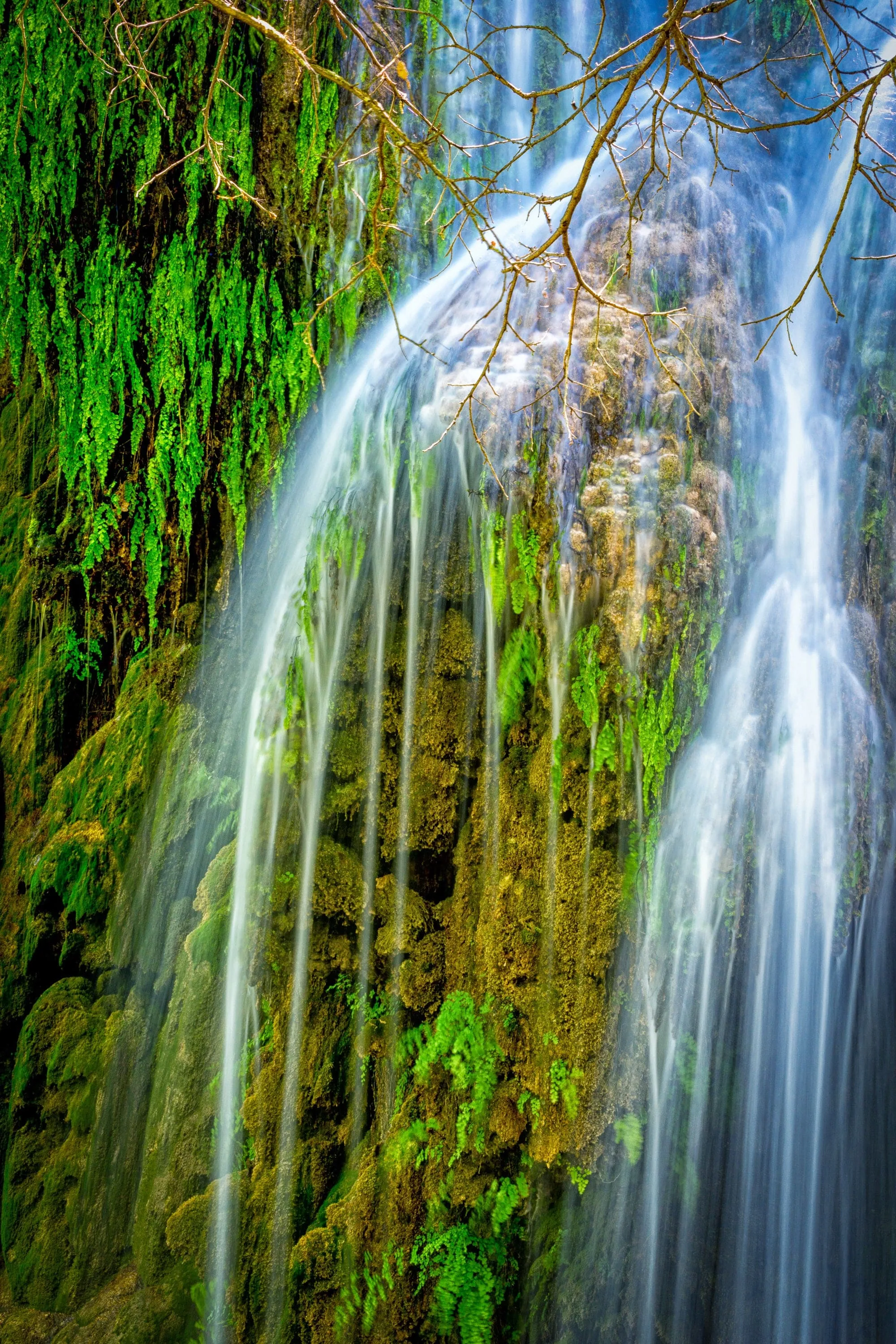 Gorman Falls, Divergent | Waterfall Puzzle | 250, 500, 1000 Pieces