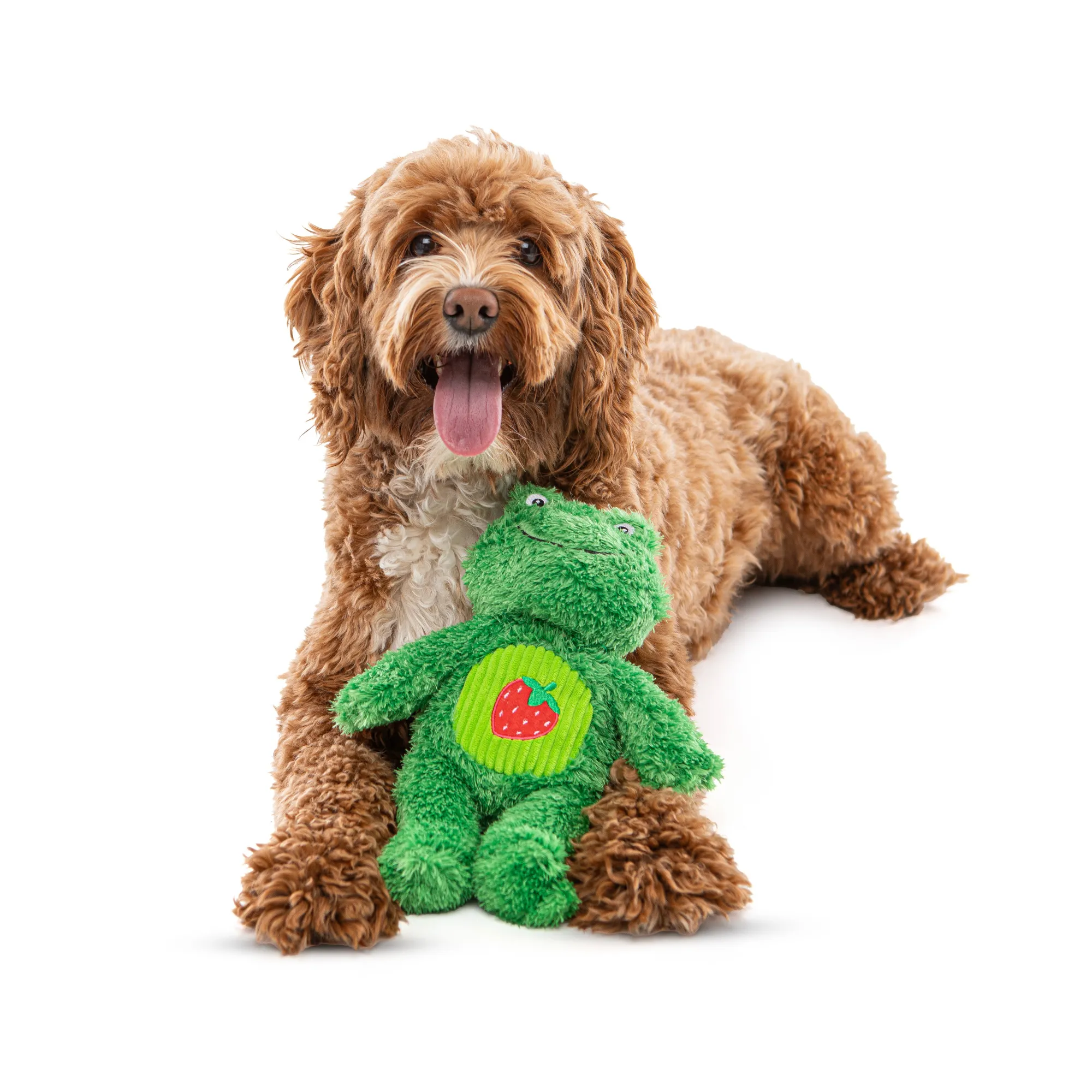 GURU Soft Scents Frog Strawberry Dog Toy Medium