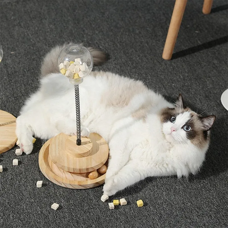 Interactive Swinging Cat Toys Feeders