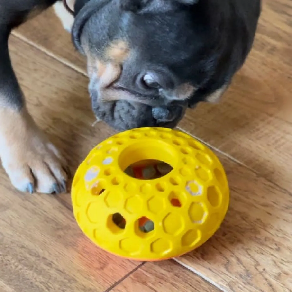 Interactive Treat Dispensing Puzzle Rubber Dog Toy: Bee Hive