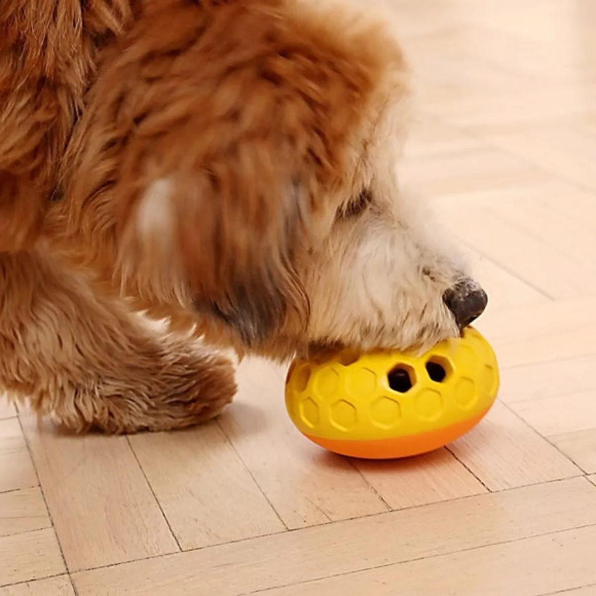 Interactive Treat Dispensing Puzzle Rubber Dog Toy: Bee Hive