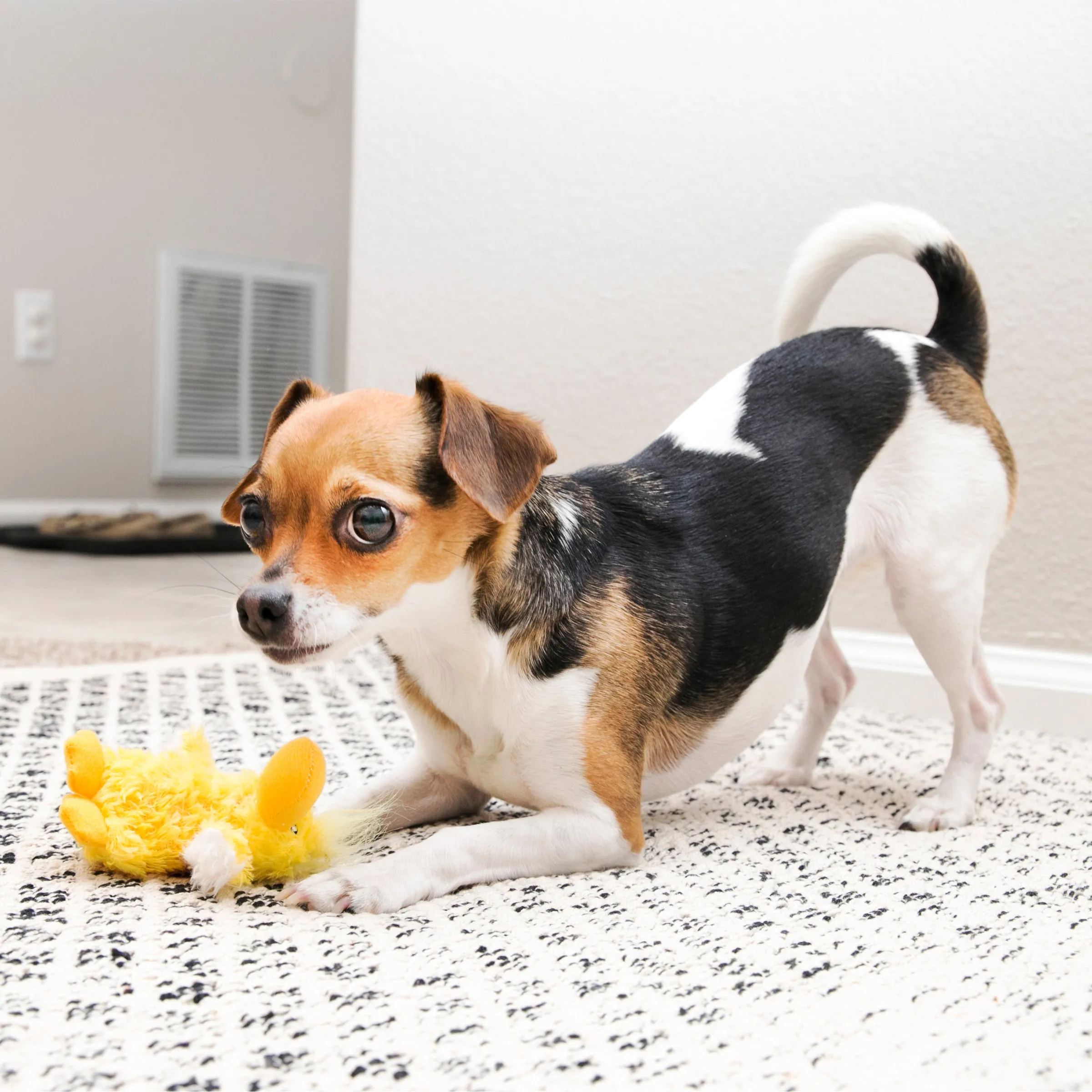 Kong Dr.Noyz Duck, Dog Toy