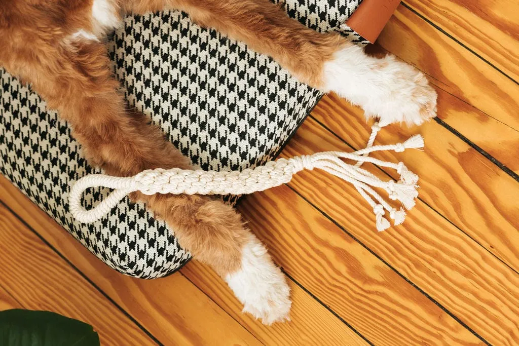 Macrame Rope Dog Toys: 2-Pack