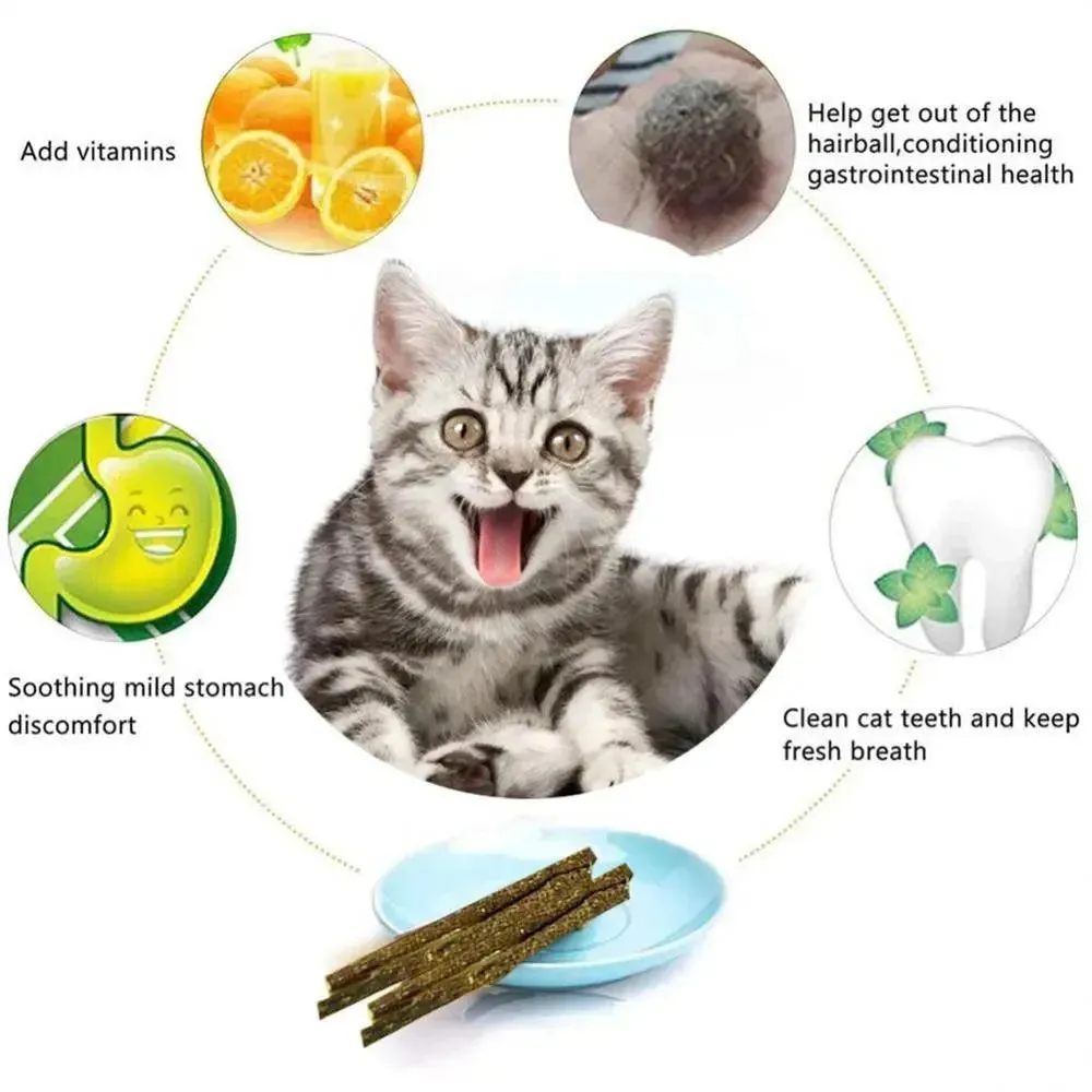 Natural Cat Mint Sticks Catnip Chews