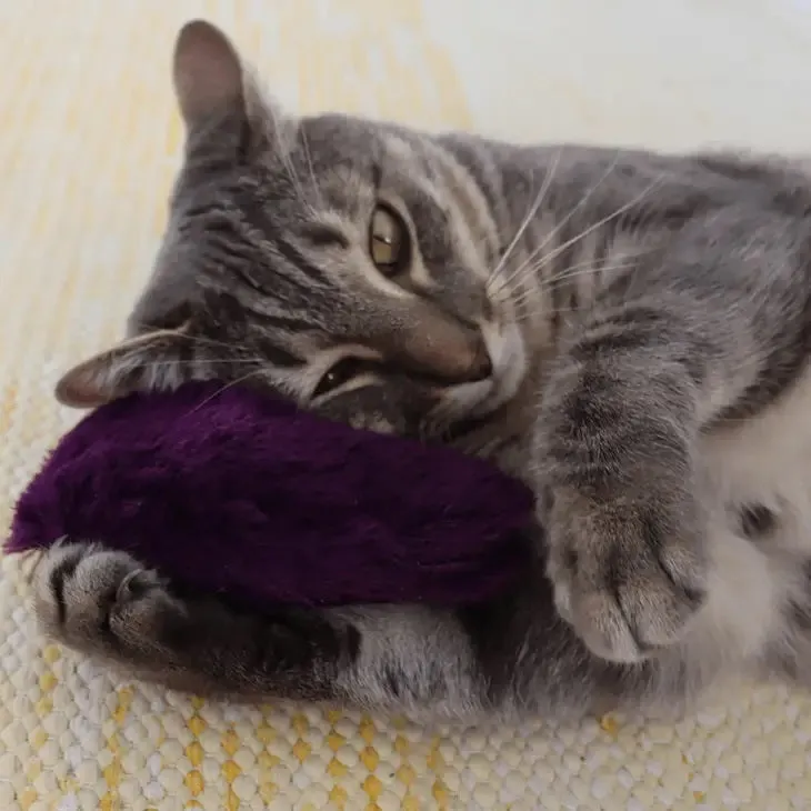 Plush Cuddly Heart Catnip Toy