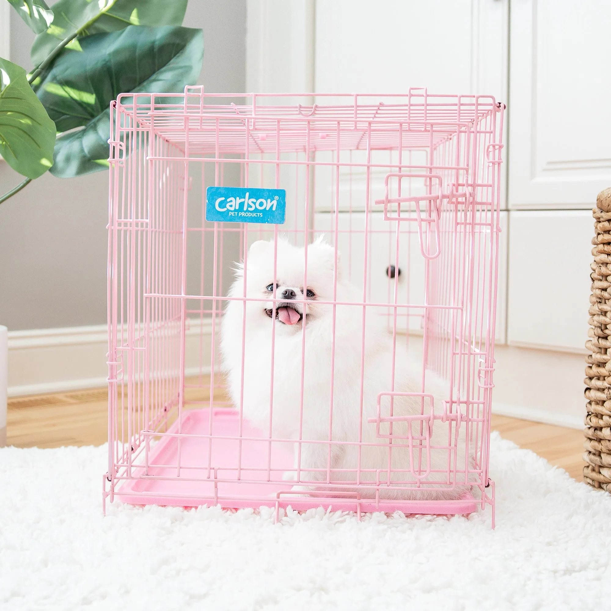 Small Single-Door Dog Crate