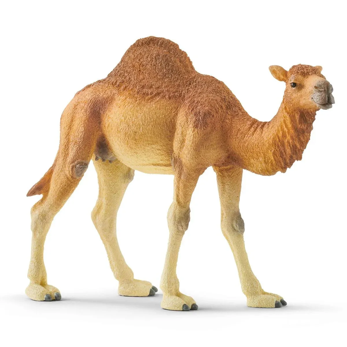 Toy | Dromedary