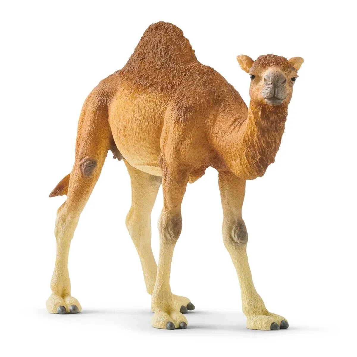 Toy | Dromedary